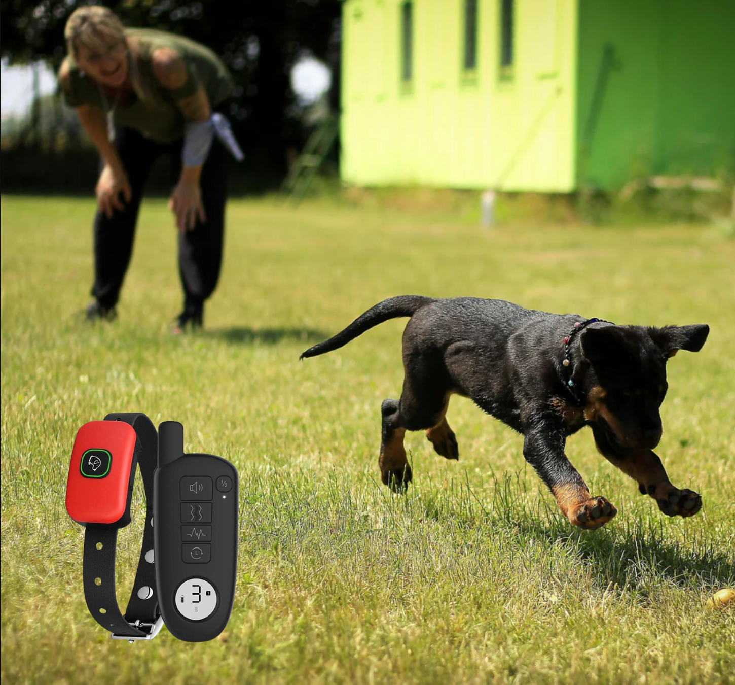 Elevate Your Dog Training with the Long Range Waterproof Dog Training Collar