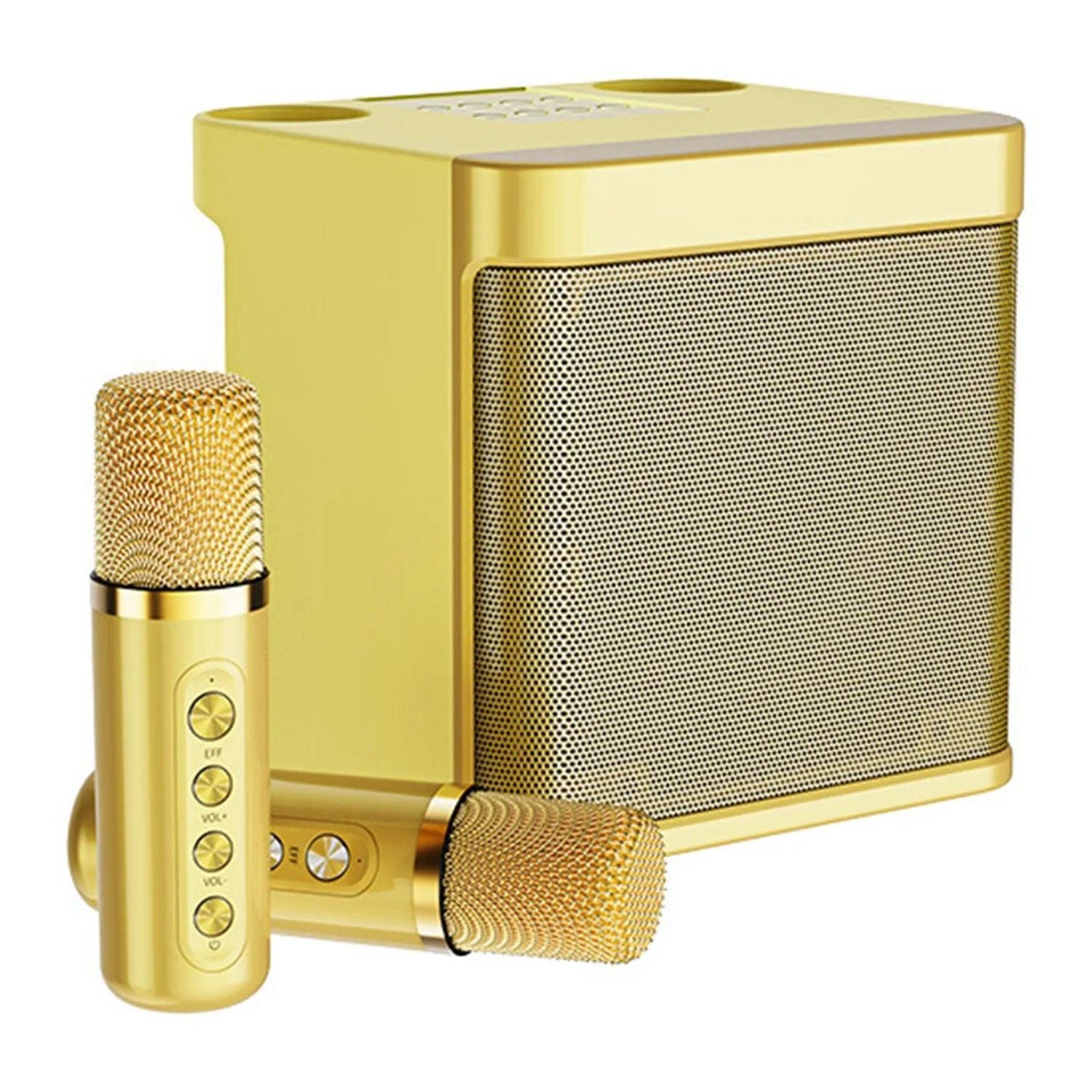 Wireless Karaoke Machine - Eagalite