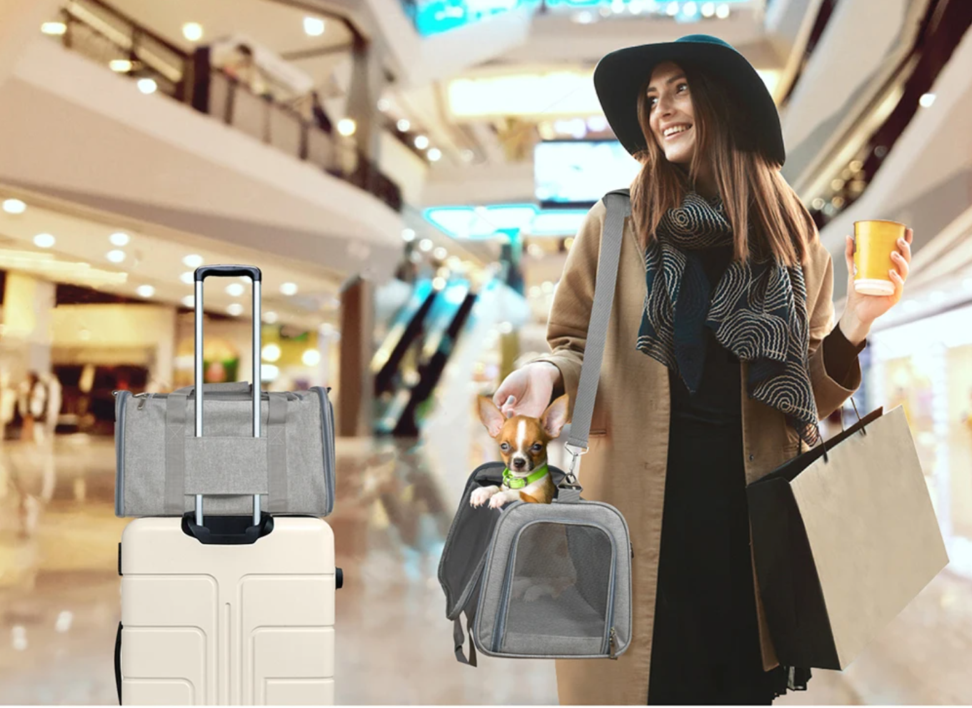 A woman carrying a pet carrier with a cat inside, alongside another carrier attached to a suitcase, highlighting the portable and travel-friendly design - Eagalite