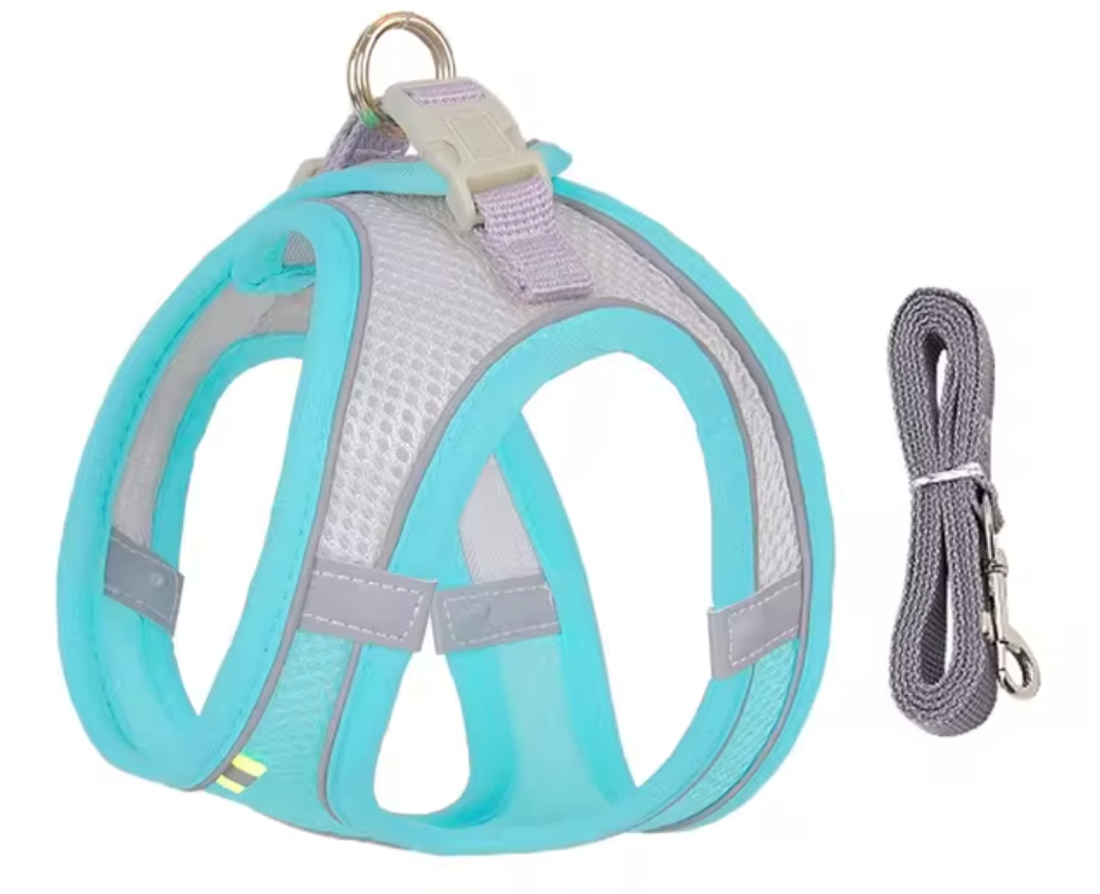 Dog Harness With Leash Blue Display With Strap - Eagalite