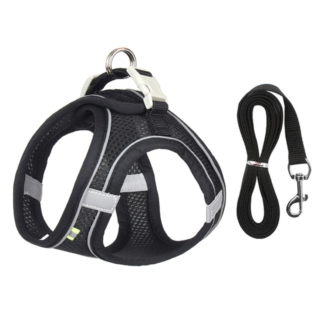 Dog Harness With Leash Black - Eagalite