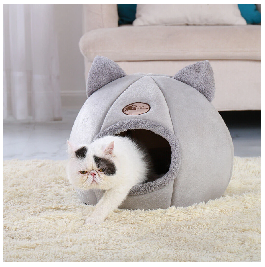 Cozy Winter Cat and Dog Bed in a living room scene with a cat emerging from it. The bed is placed on a carpeted floor, showcasing its plush velvet material and comfortable design in a home setting - Eagalite