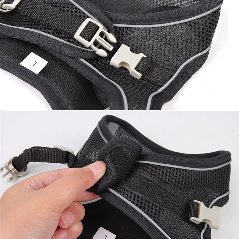 Dog Harness With Leash Black Close Up - Eagalite